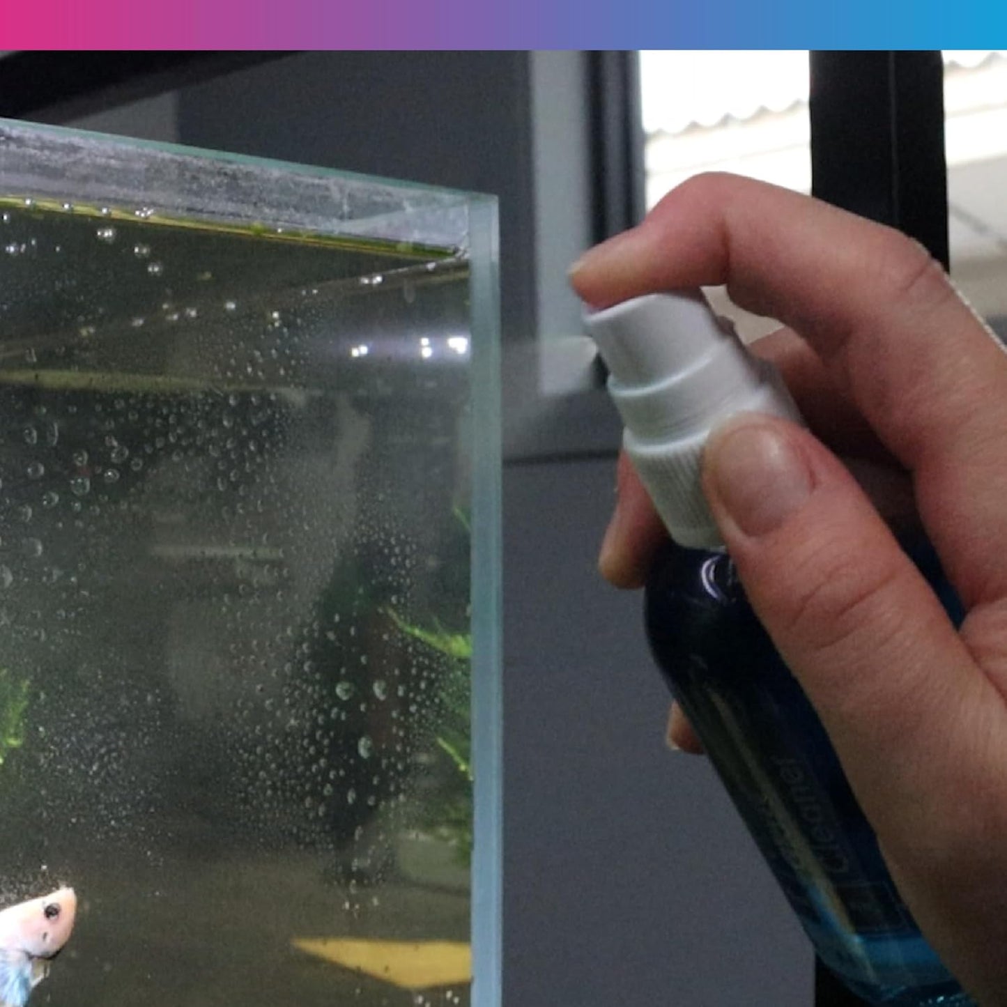 NT LABS Aquarium Glass Cleaner PROCARE Fish Tank Cleaning Maintenance 100ml