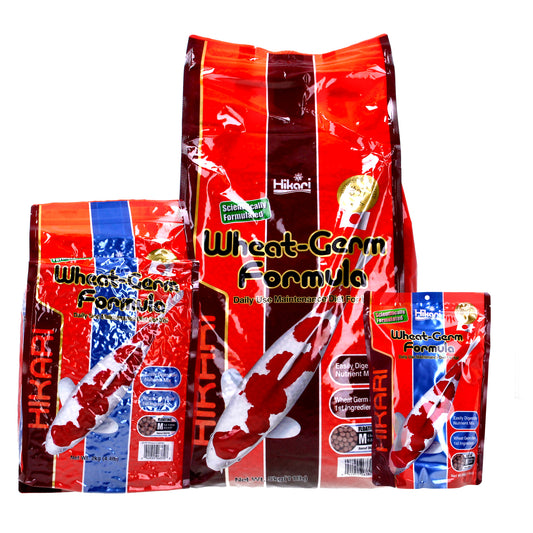 Hikari Koi Wheatgerm Pellets - Medium