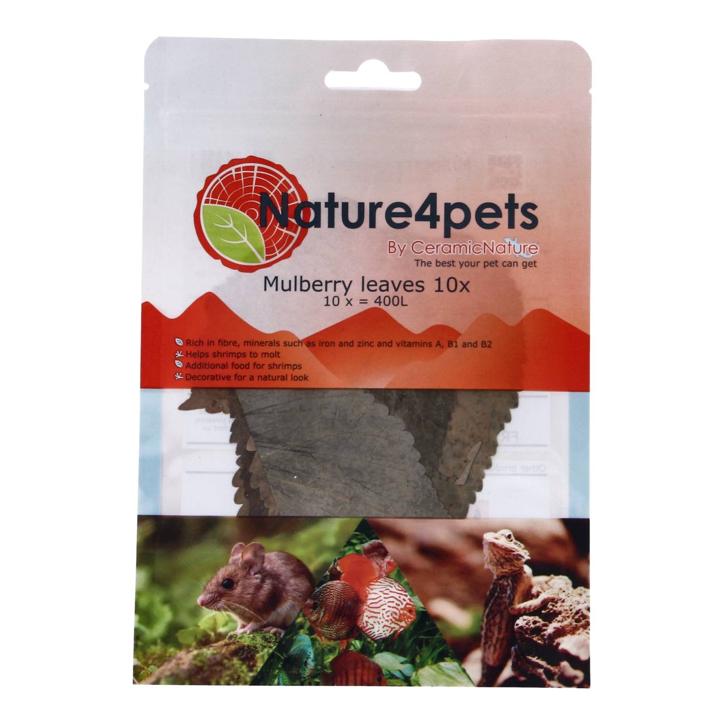 Nature4pets Mulberry Leaves for Shrimp – 10-15 Natural Dried Leaves
