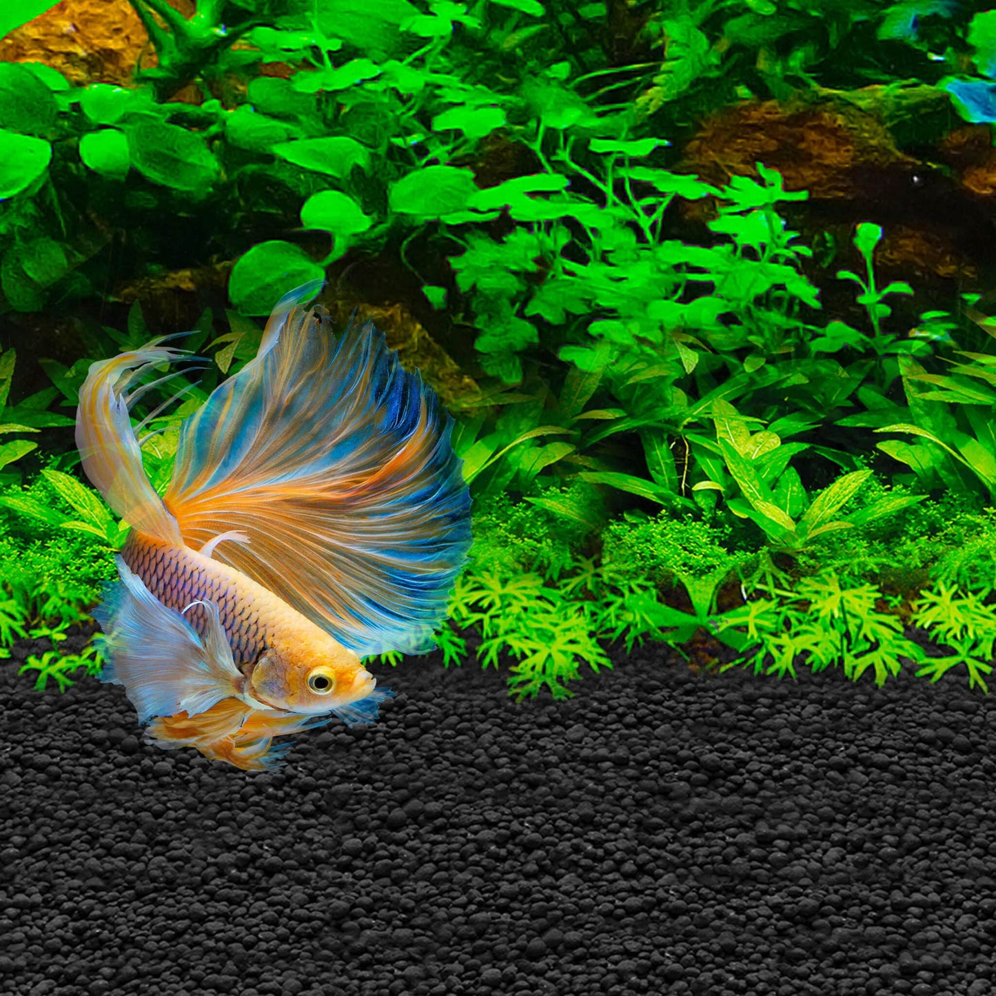 Fluval Betta Stratum Aquarium Fish Tank Substrate 800 grams