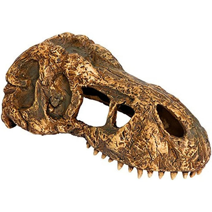 Exo Terra Small T Rex Skull Realistic Hide