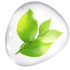 The Nutrient Company