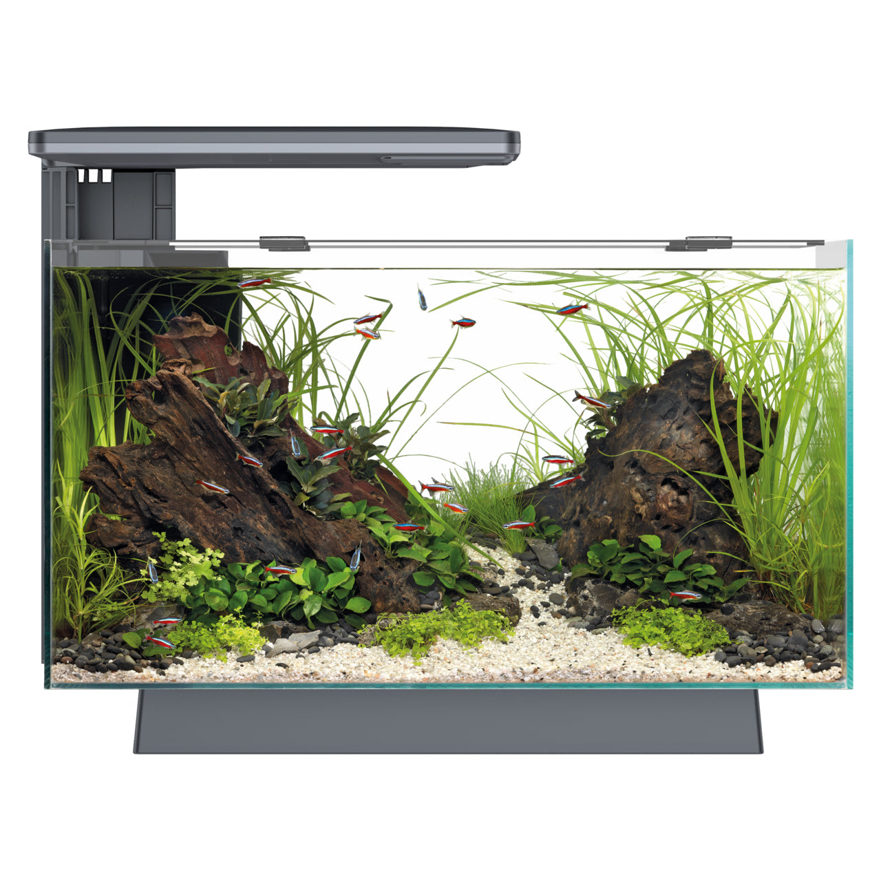 Superfish Quadro 40 Multi-Colour LED Aquarium