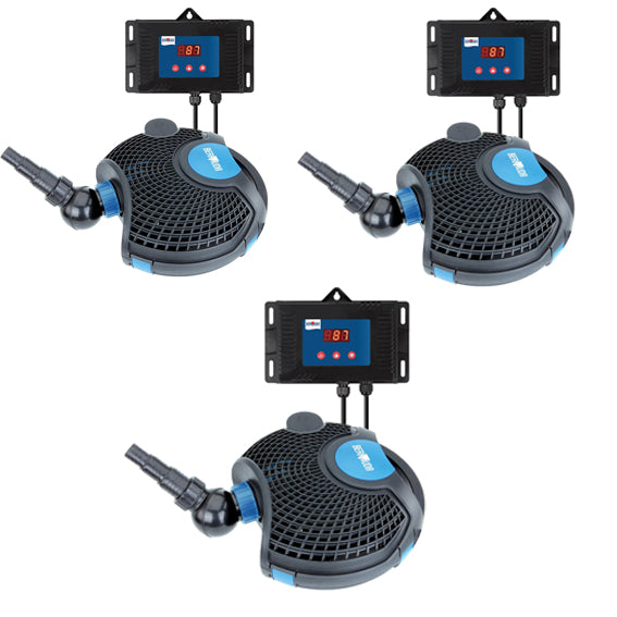 Bermuda Variable Pumps