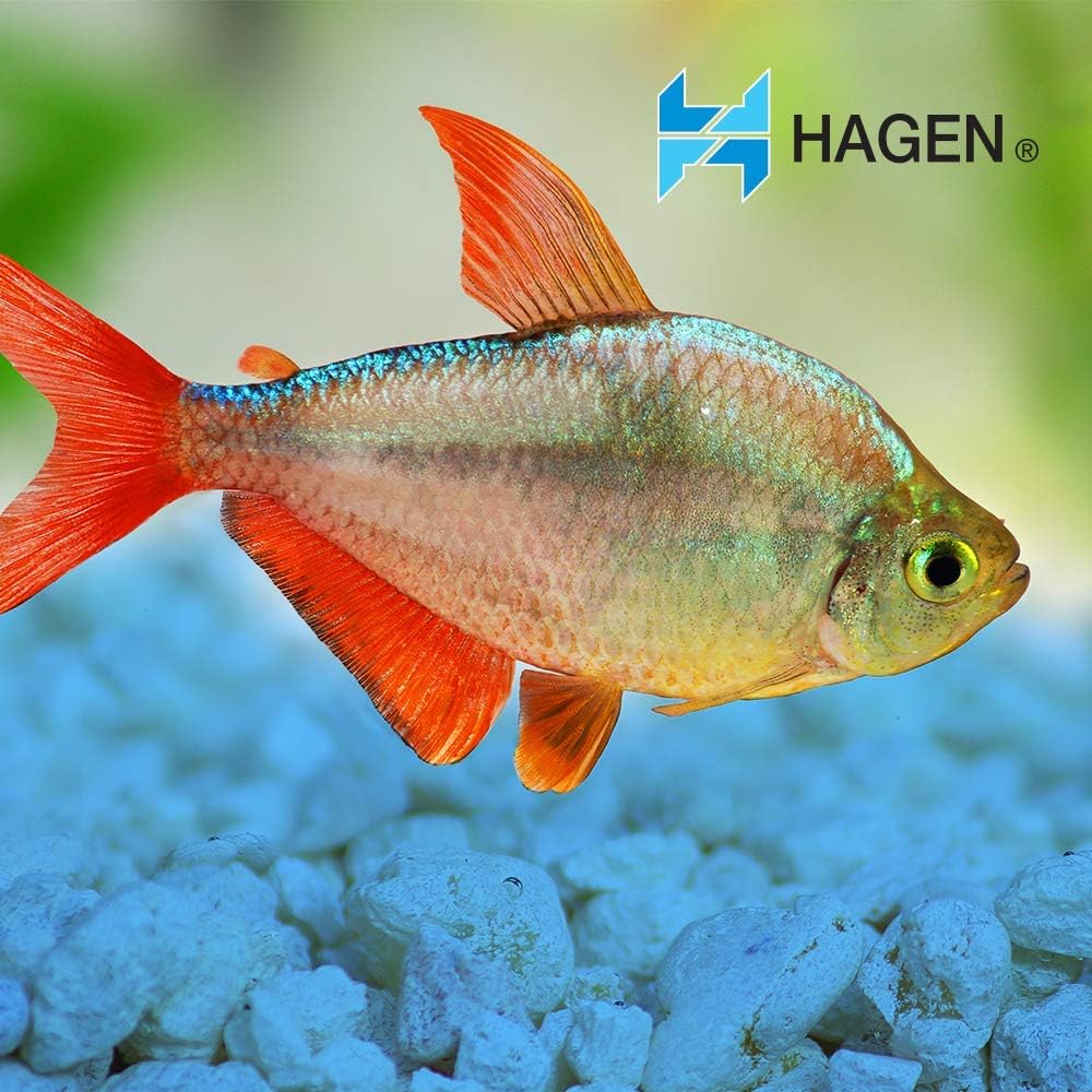 Marina Decorative Aquarium Gravel