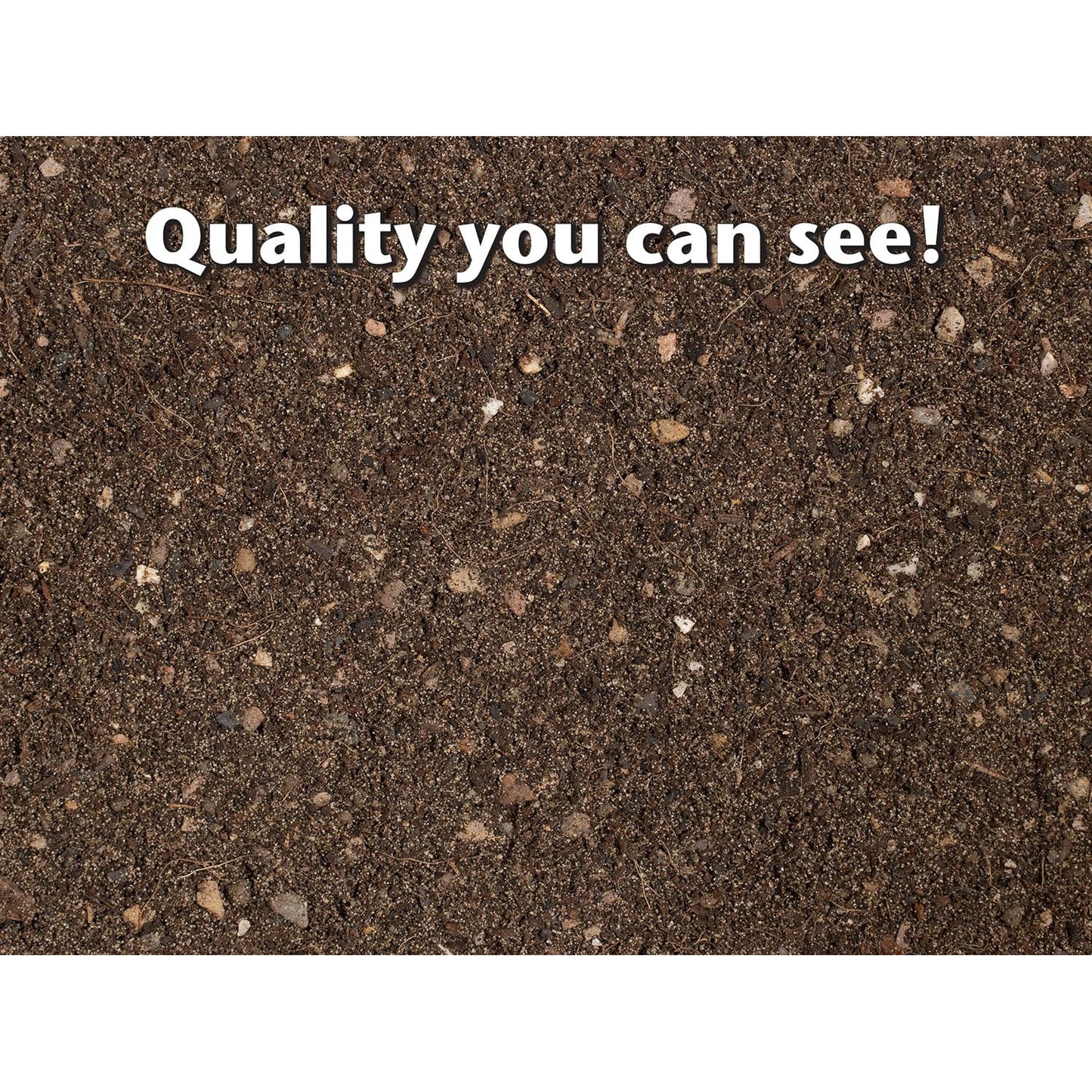 Growth Technology Cactus & Succulent Focus Repotting Mix Peat Free