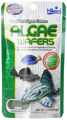 Hikari Algae Wafers Bottom Feeder & Pleco Food