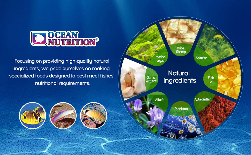 Ocean Nutrition Community Flake Fish Food with Garlic & Vitamins 71g