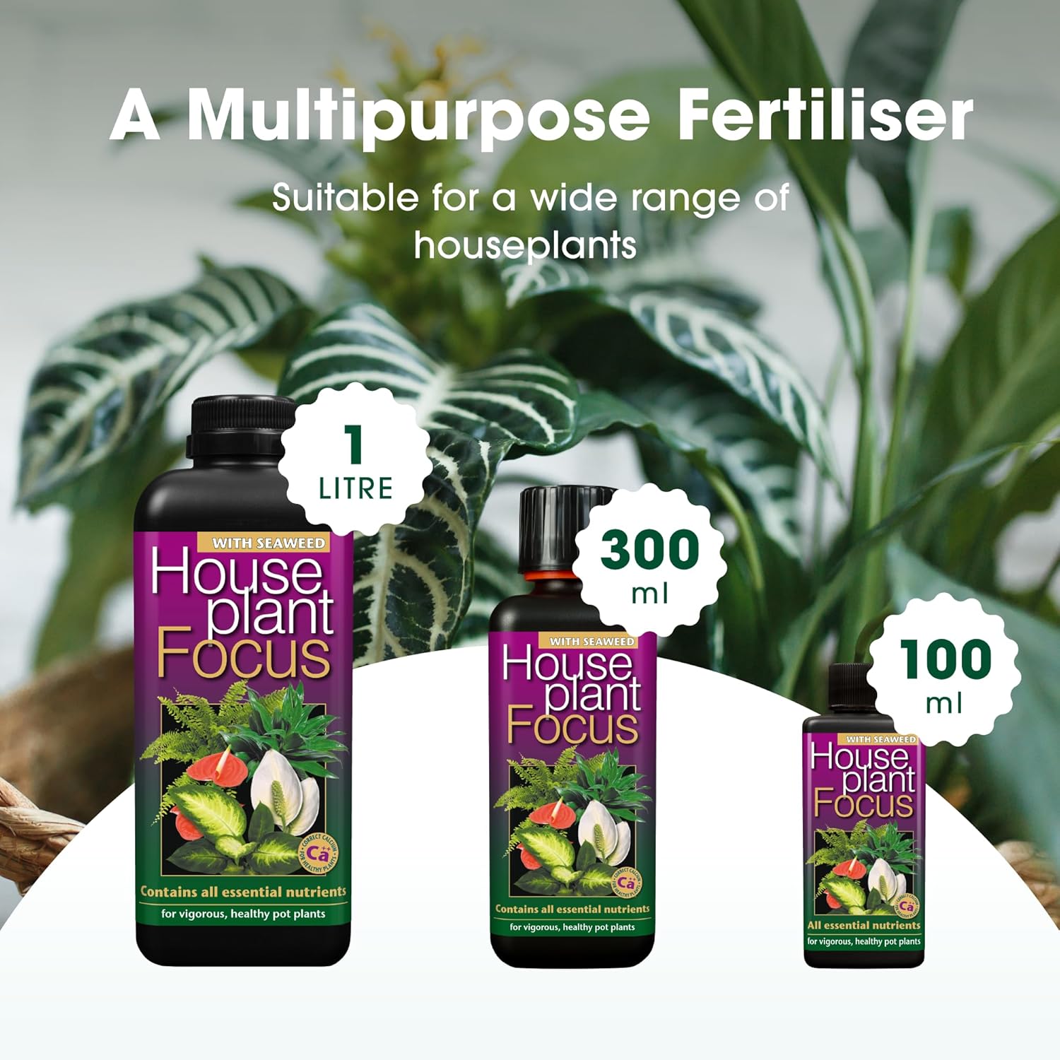 Growth Technology Houseplant Focus Concentrated Liquid Fertiliser 1L
