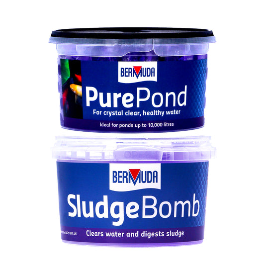 Bermuda Sludge Bomb & Pure Pond