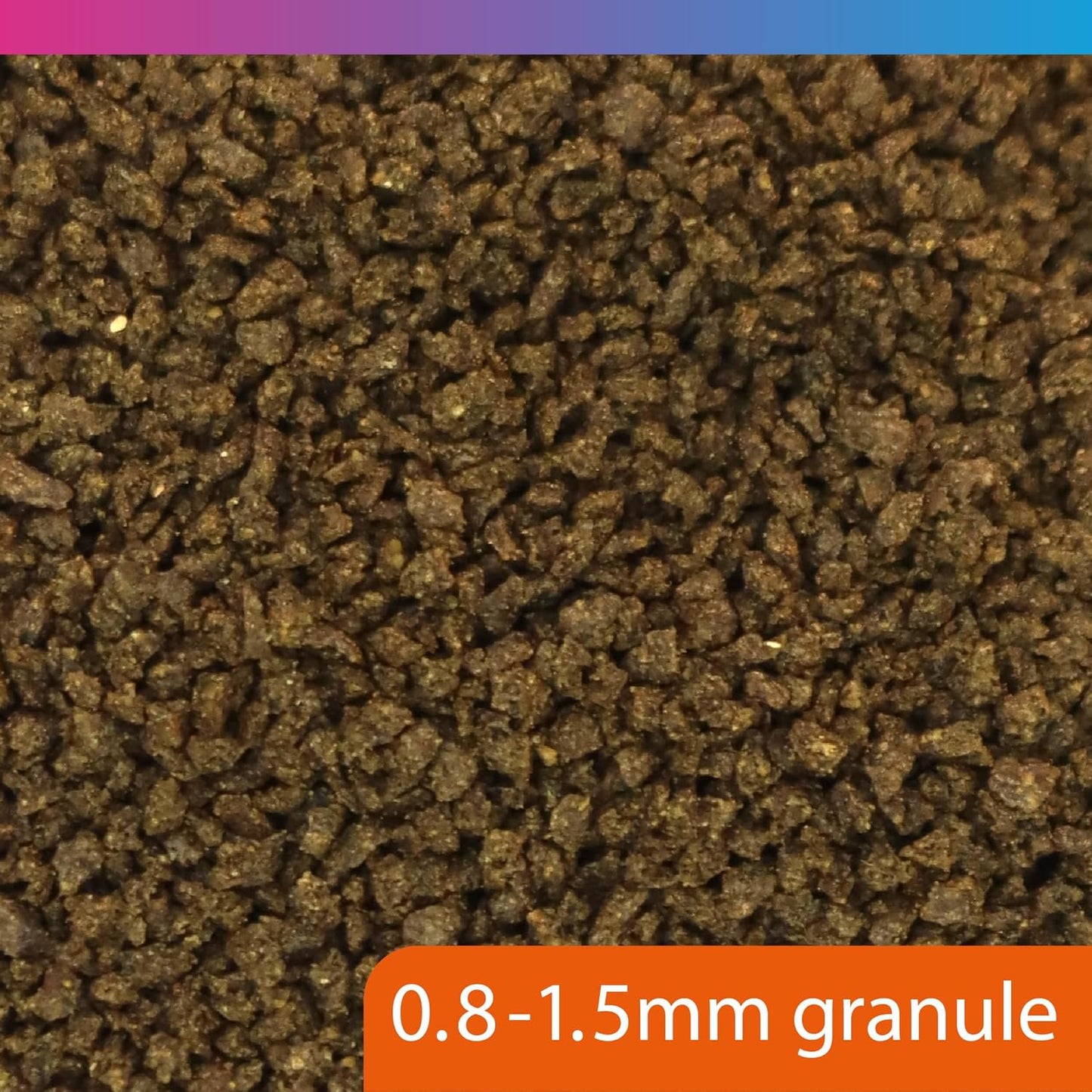 Nt Labs Temperate Granule Fish Food 40g