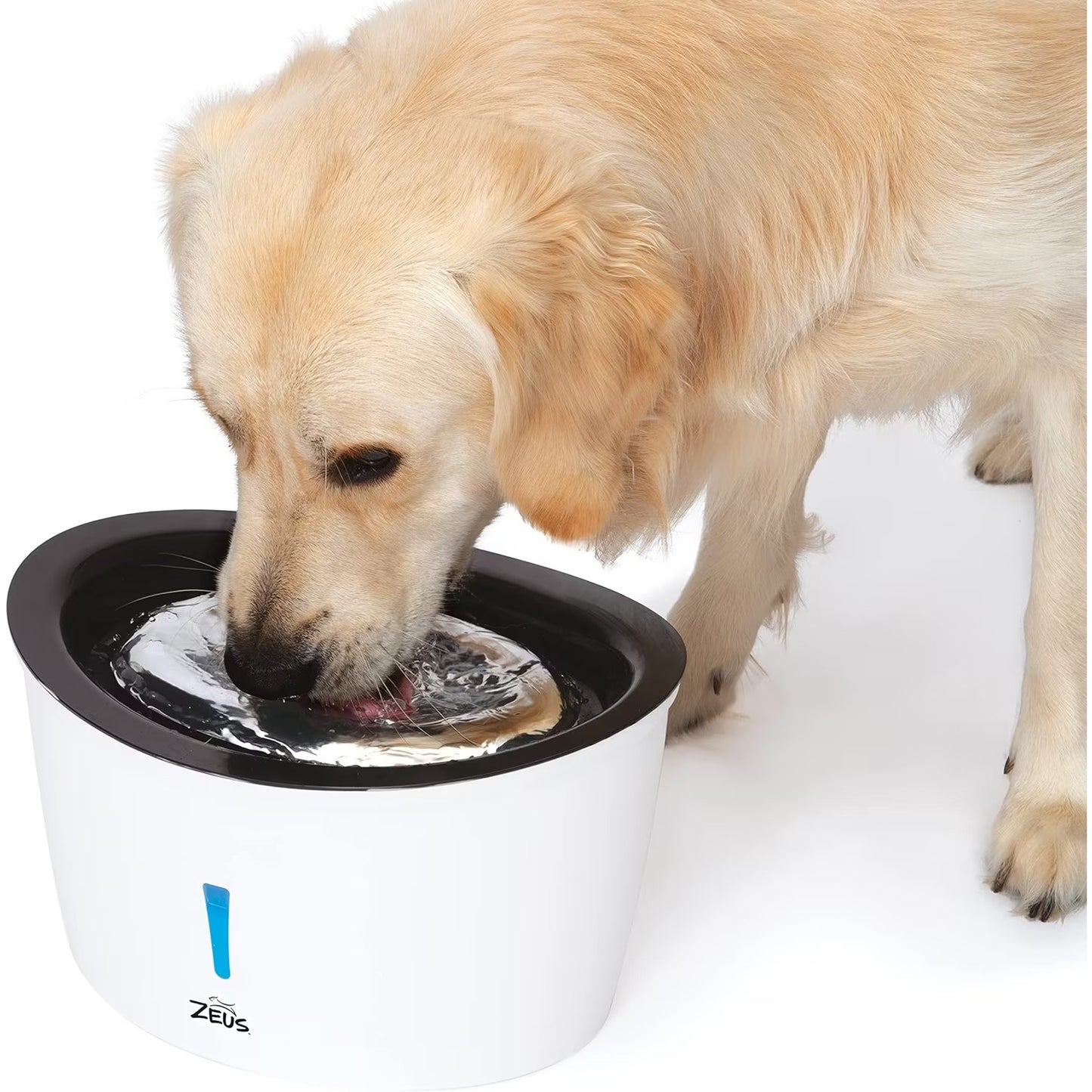 Zeus Dog Drinking Fountain Water Cascade
