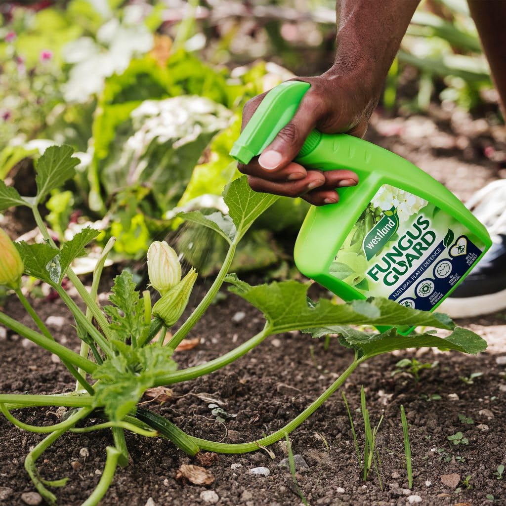 Westland Fungus Guard Spray RTU 800ml Crop Plant Protection Disease