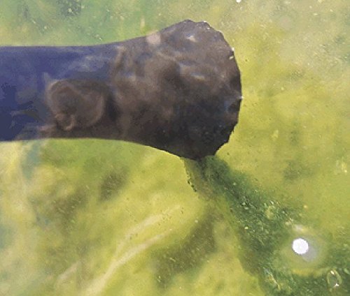 Oase Pondovac 3 Pond Sludge Vacumm