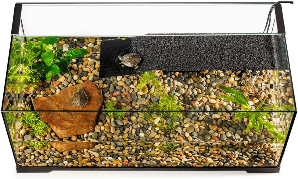 Exo Terra Turtle Haven Aquatic Terrarium