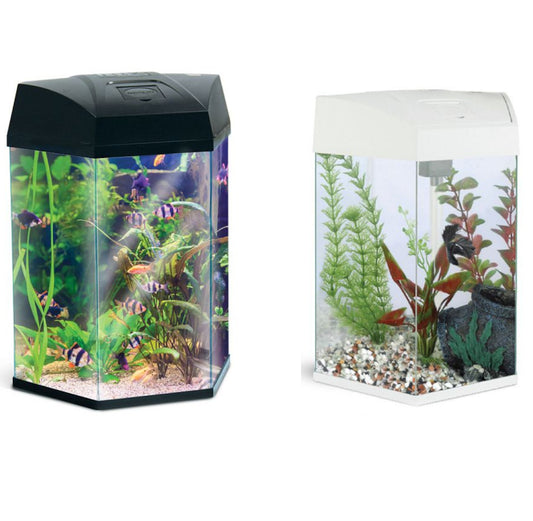 AA Glass RGB Hexagon Compact 22L Aquarium Fish Tank LED Light