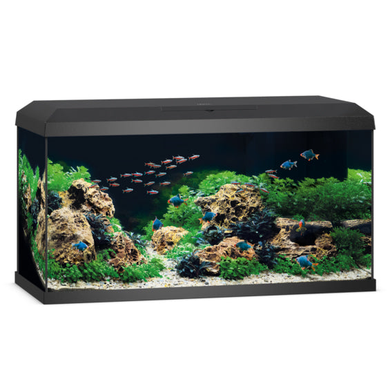 Juwel Primo 110 Black Aquarium