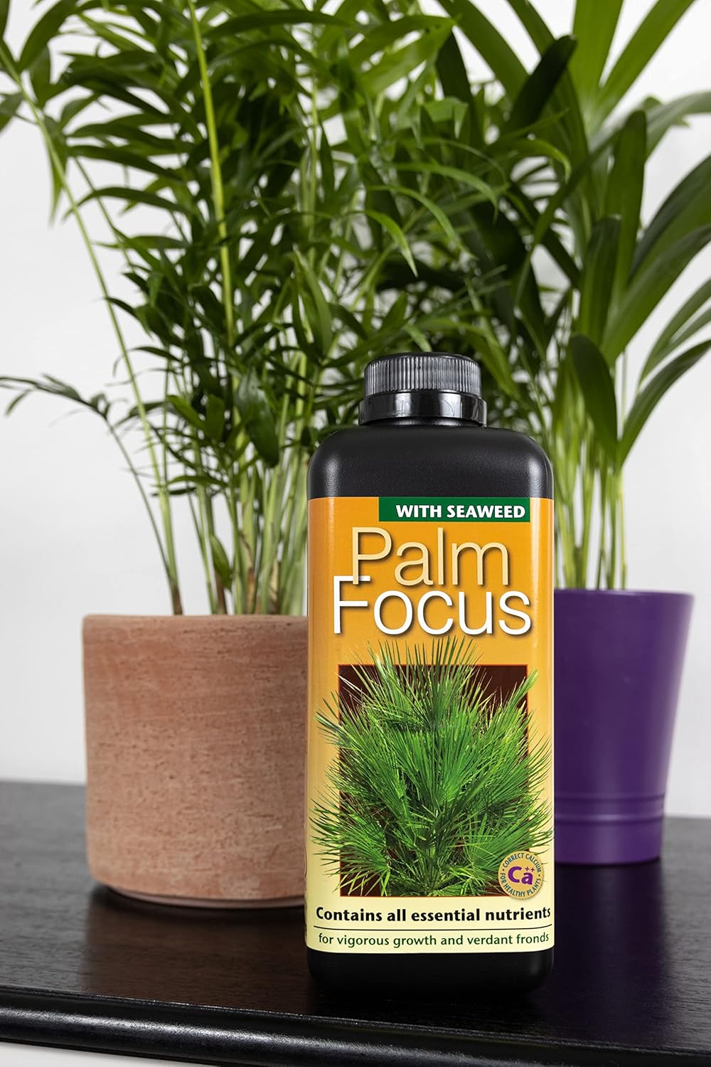 Palm Tree Fertiliser Feed For Healthy Vigorous Growth 1000 ml Palm Focus Garden