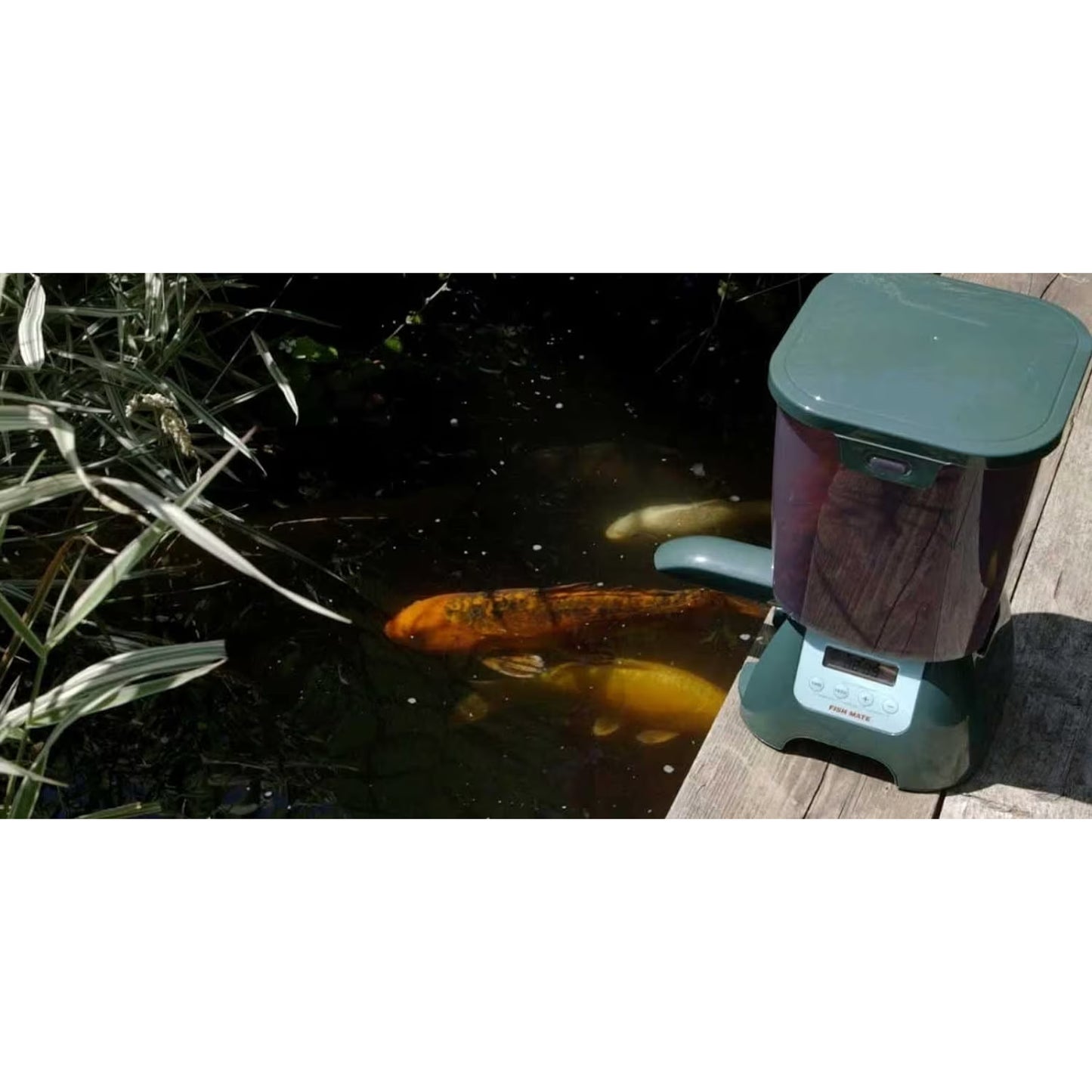 Fish Mate P7000 Automatic Koi Pond Fish Feeder - 348