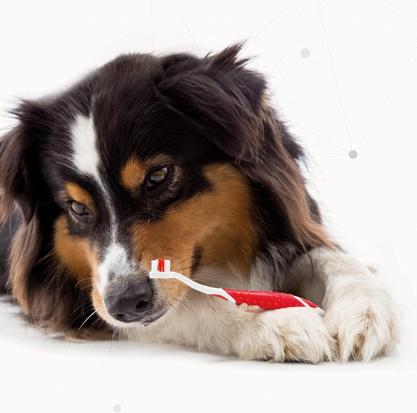 Beaphar Toothbrush Cat & Dog
