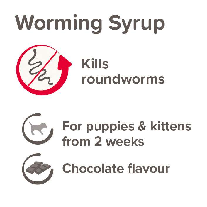 Beaphar Worming Syrup for Puppies Kittens - Treats Roundworms - 45ml