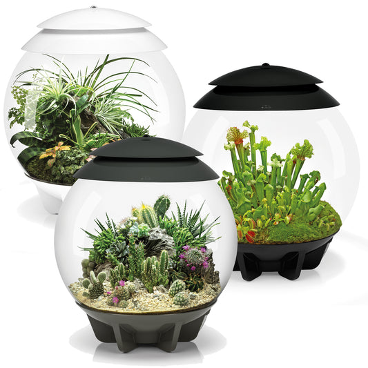 biOrb AIR 30 Terrariums