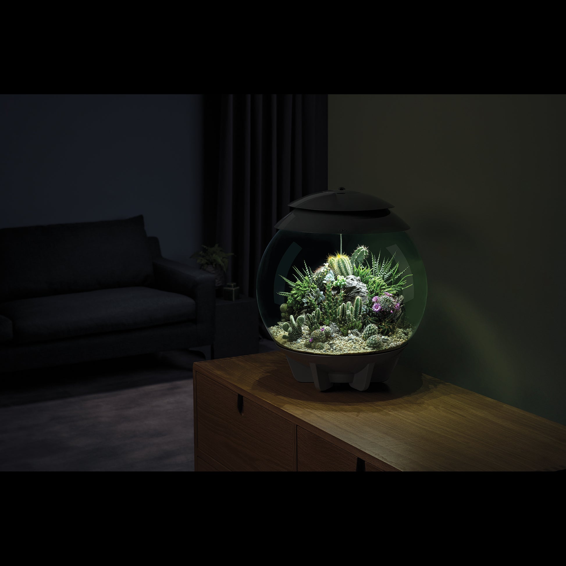 biOrb AIR 30 Terrariums