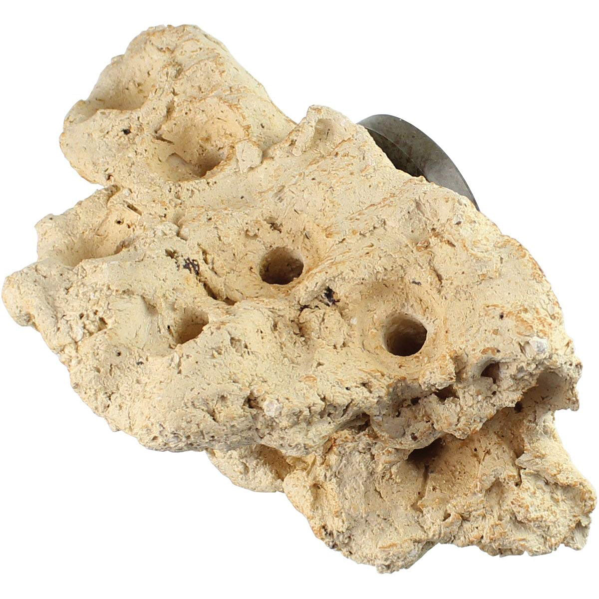 Tunze Coral Frag Rack - Nano