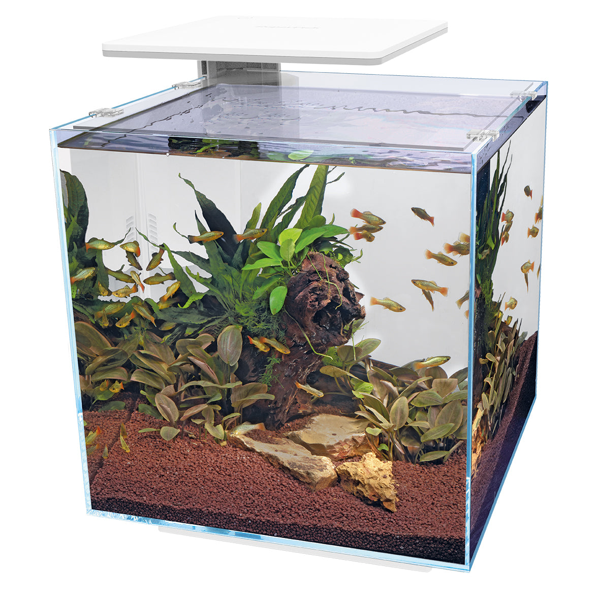 Superfish Qubiq Pro 60 LED Aquariums