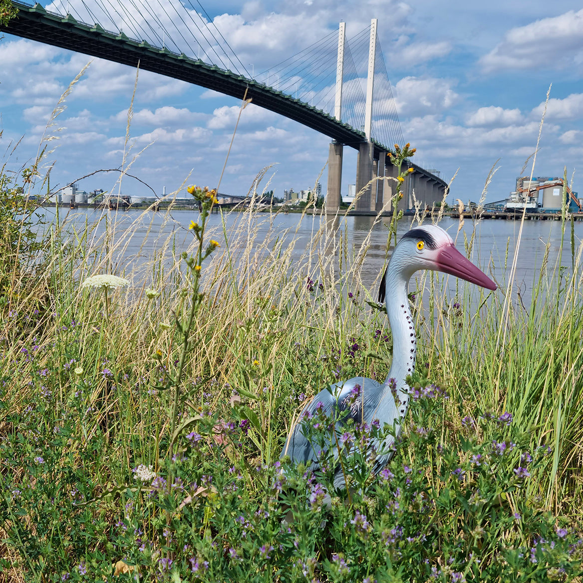 Bermuda Heron Ornament