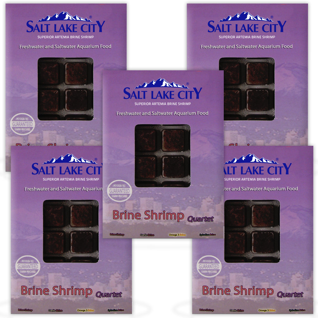 BCUK Frozen Brine Shrimp Quartet