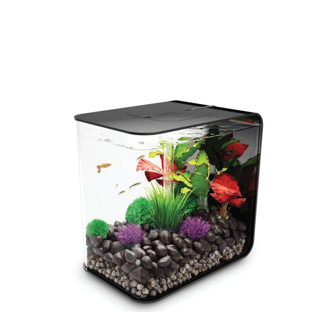 Biorb small best sale fish tank