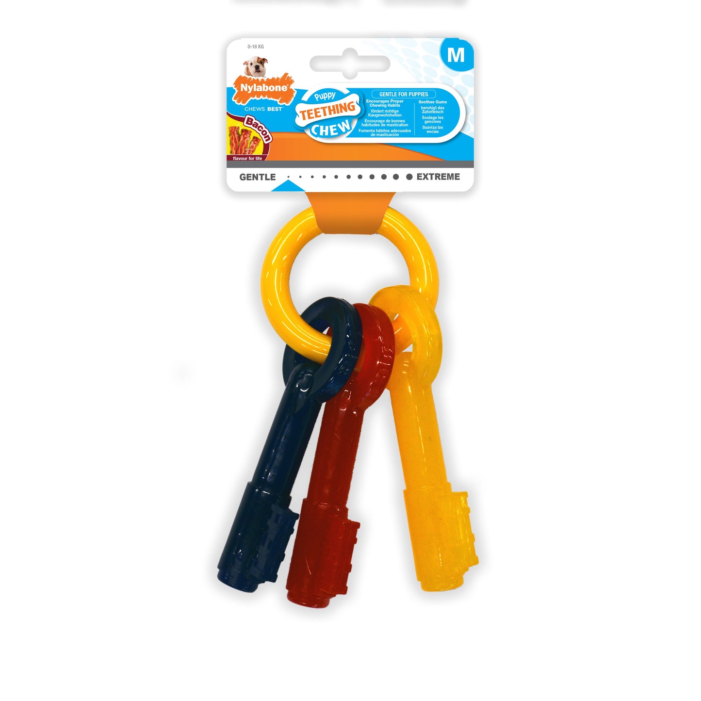 Nylabone Puppy Teething Key Chew Toy