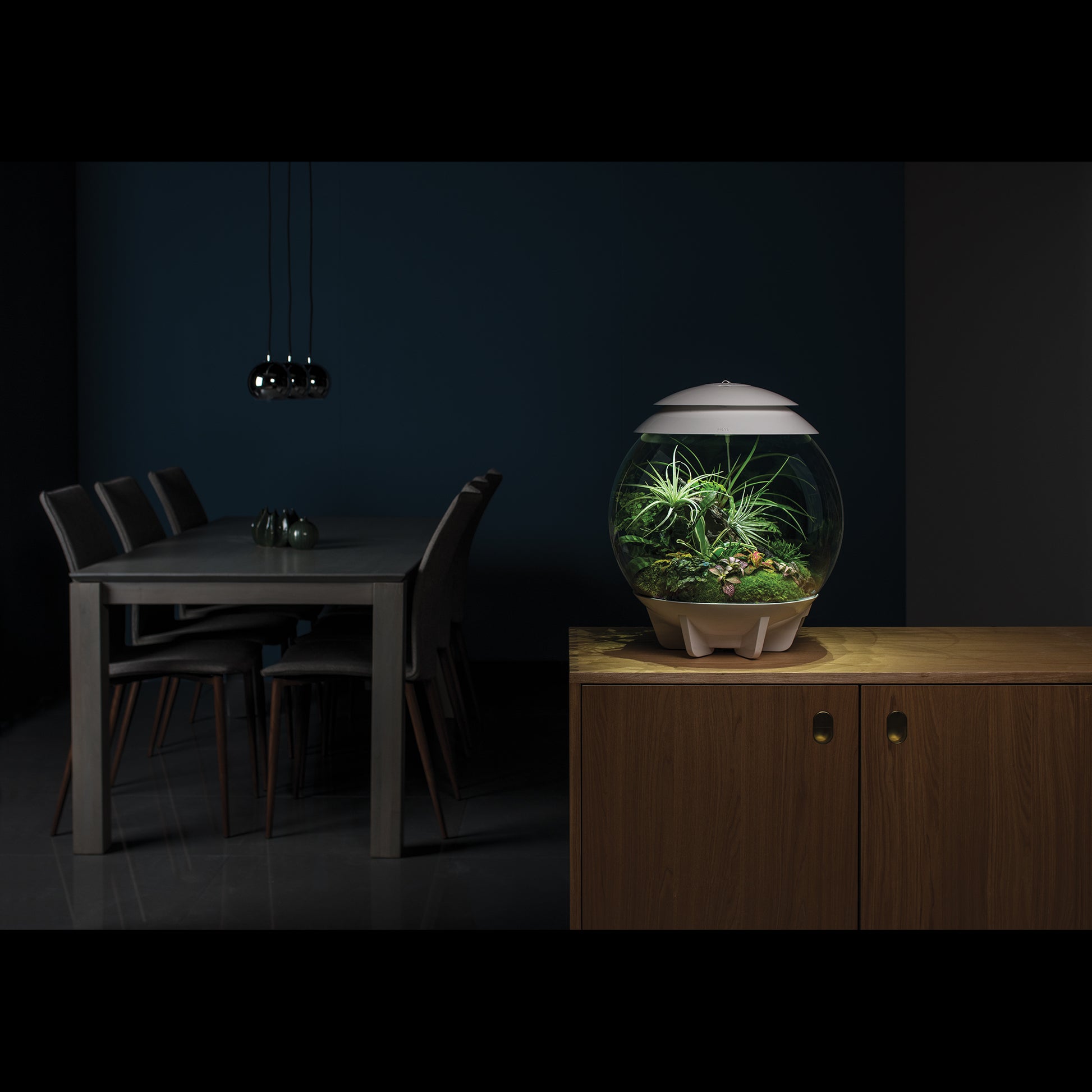 biOrb AIR 30 Terrariums
