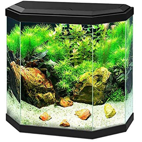 Ciano Hex 30 LED Aquariums