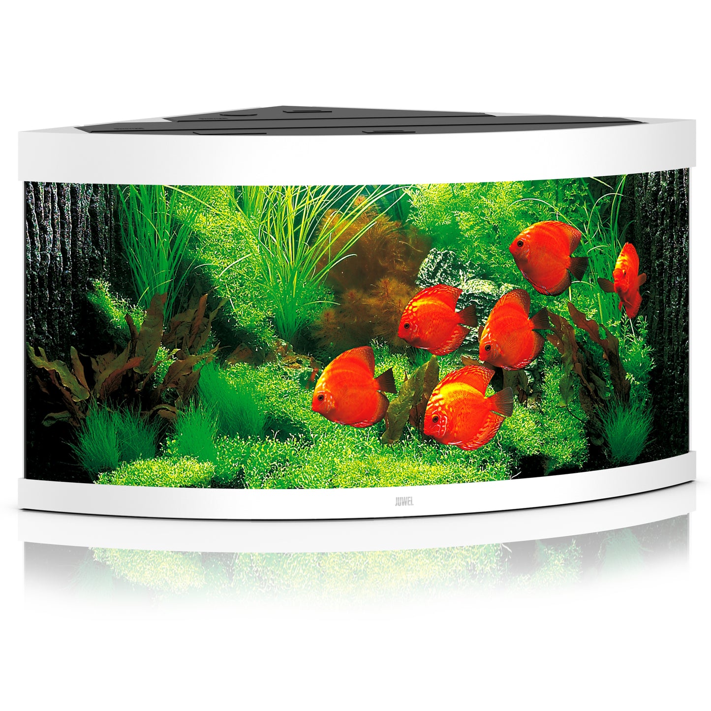 Juwel Trigon 350 LED Aquarium Only