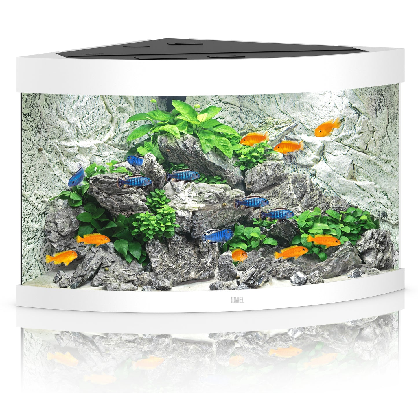 Juwel Trigon 190 LED Aquarium Only