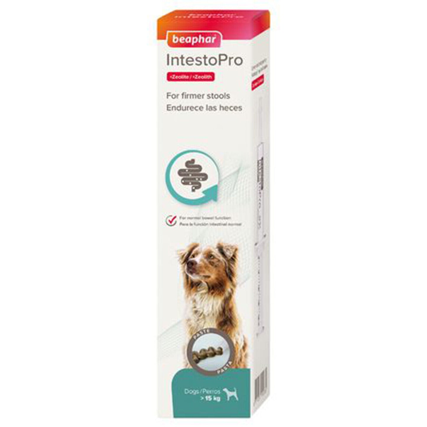 Beaphar IntestoPro Paste for Dogs