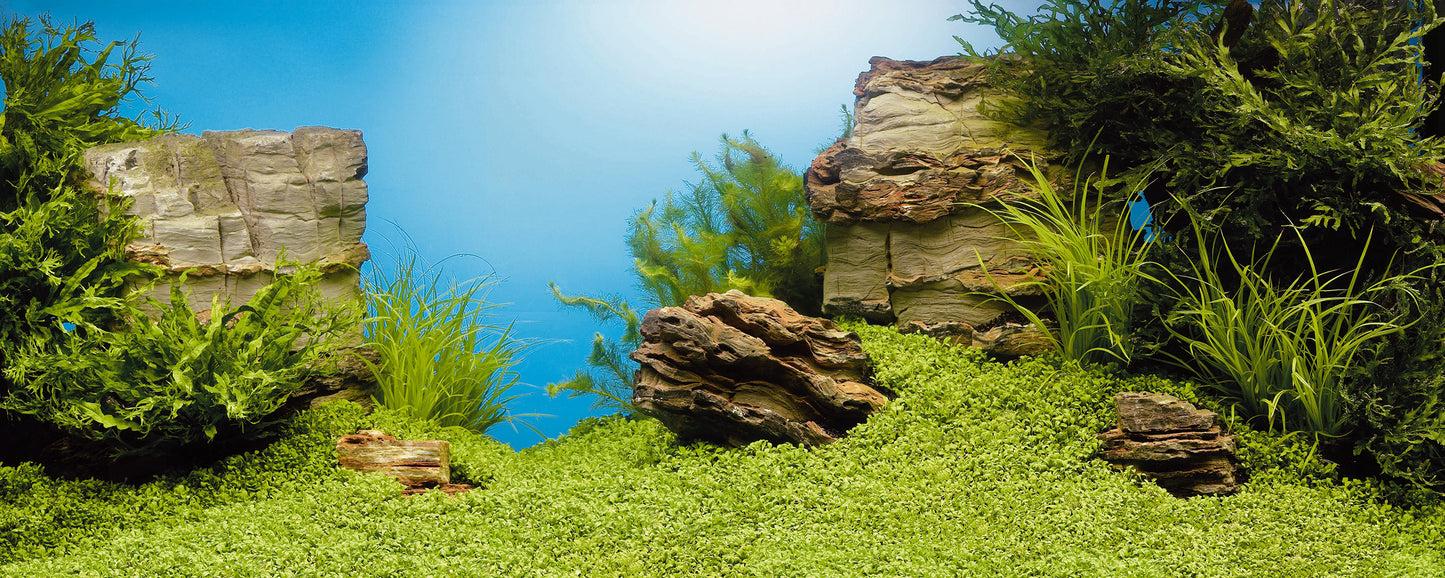Juwel Aquarium Double Sided Poster 1