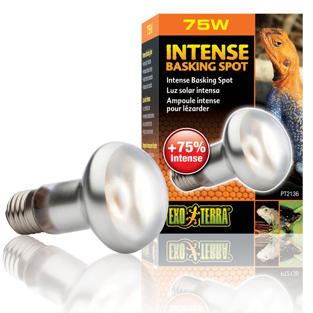 Exo Terra Intense Basking Spot 75w S20 - PT2136