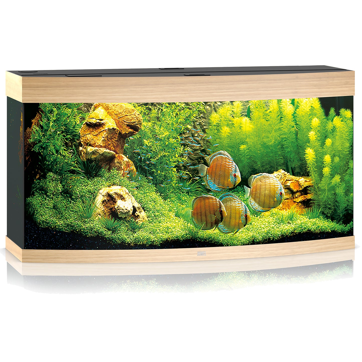 Juwel Vision 260 LED Aquarium Only