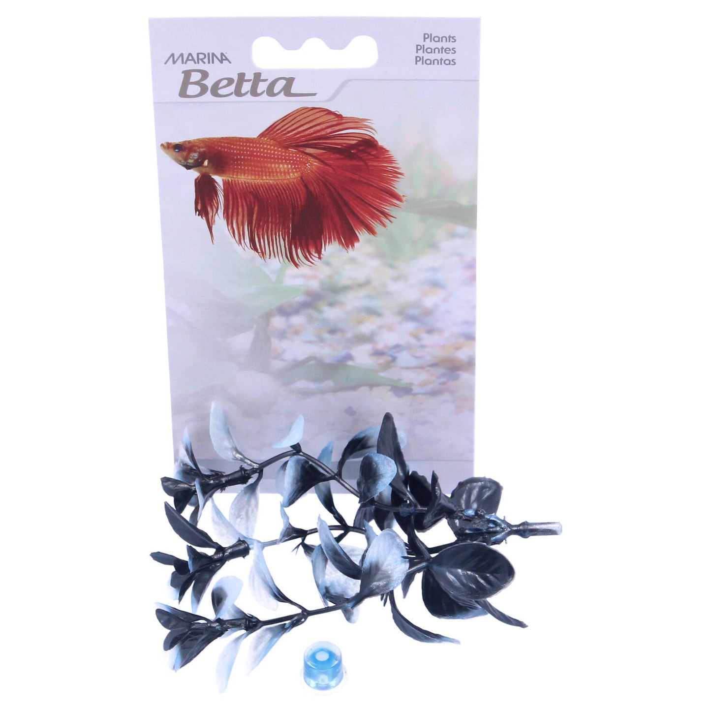 Marina Betta Plant Red Ludwiga 12.7cm
