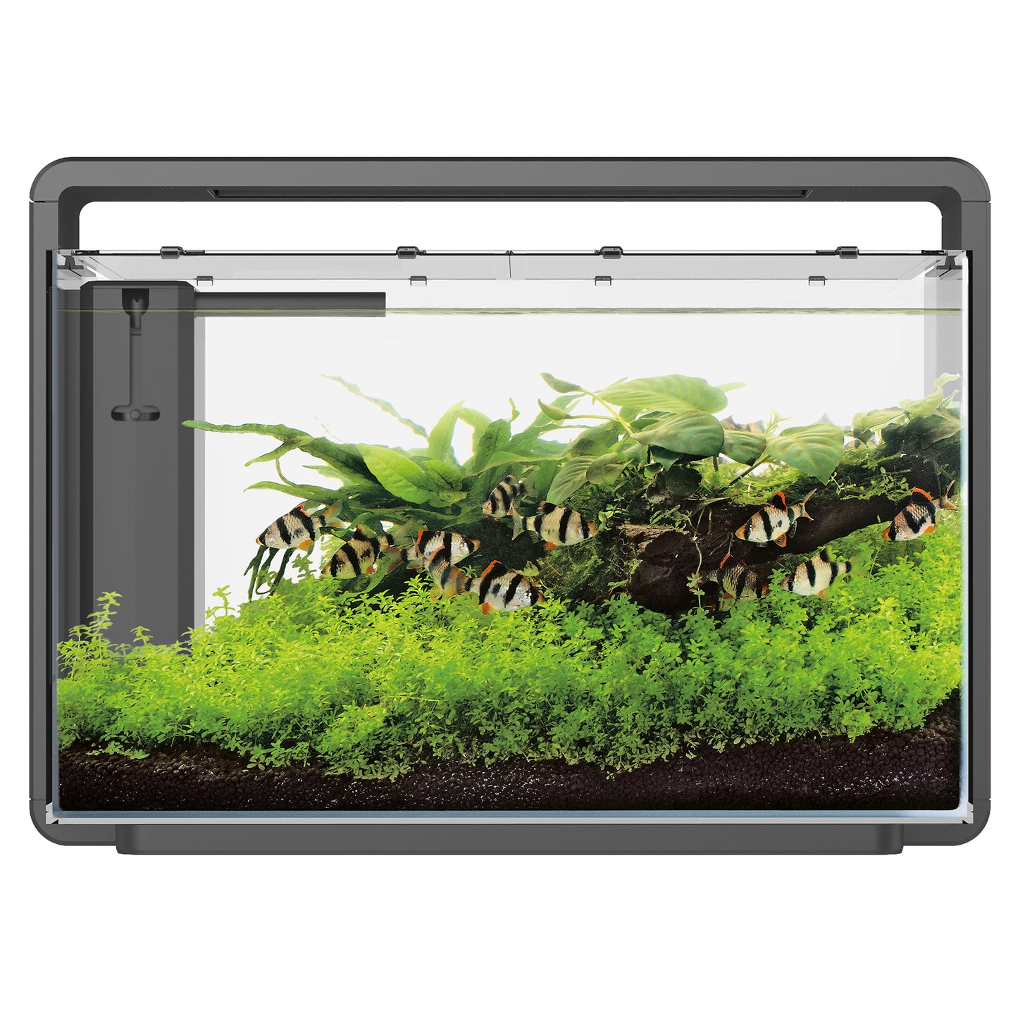 Superfish Home 65 Aquariums