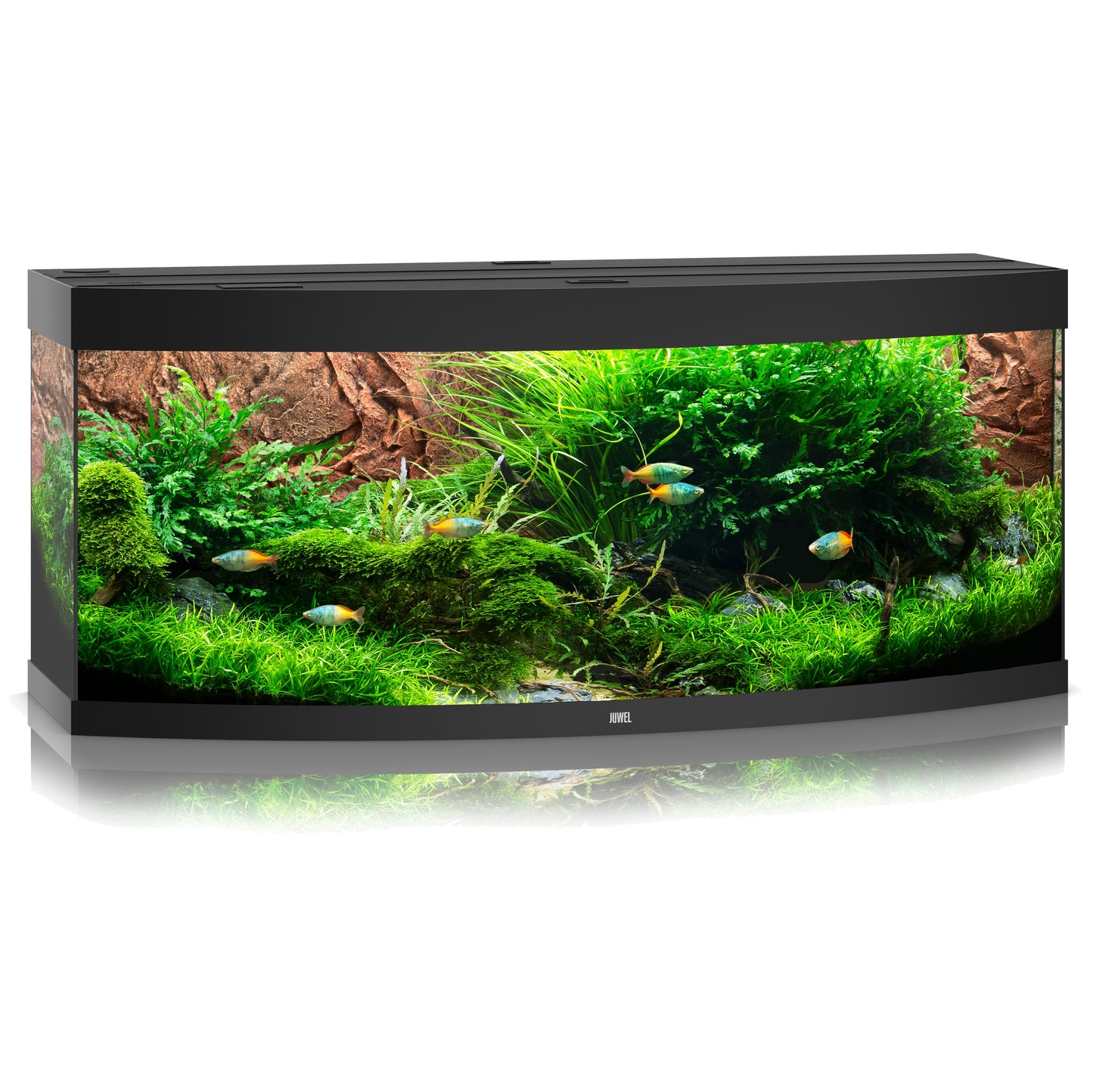 Juwel Vision 450 LED Aquarium Only