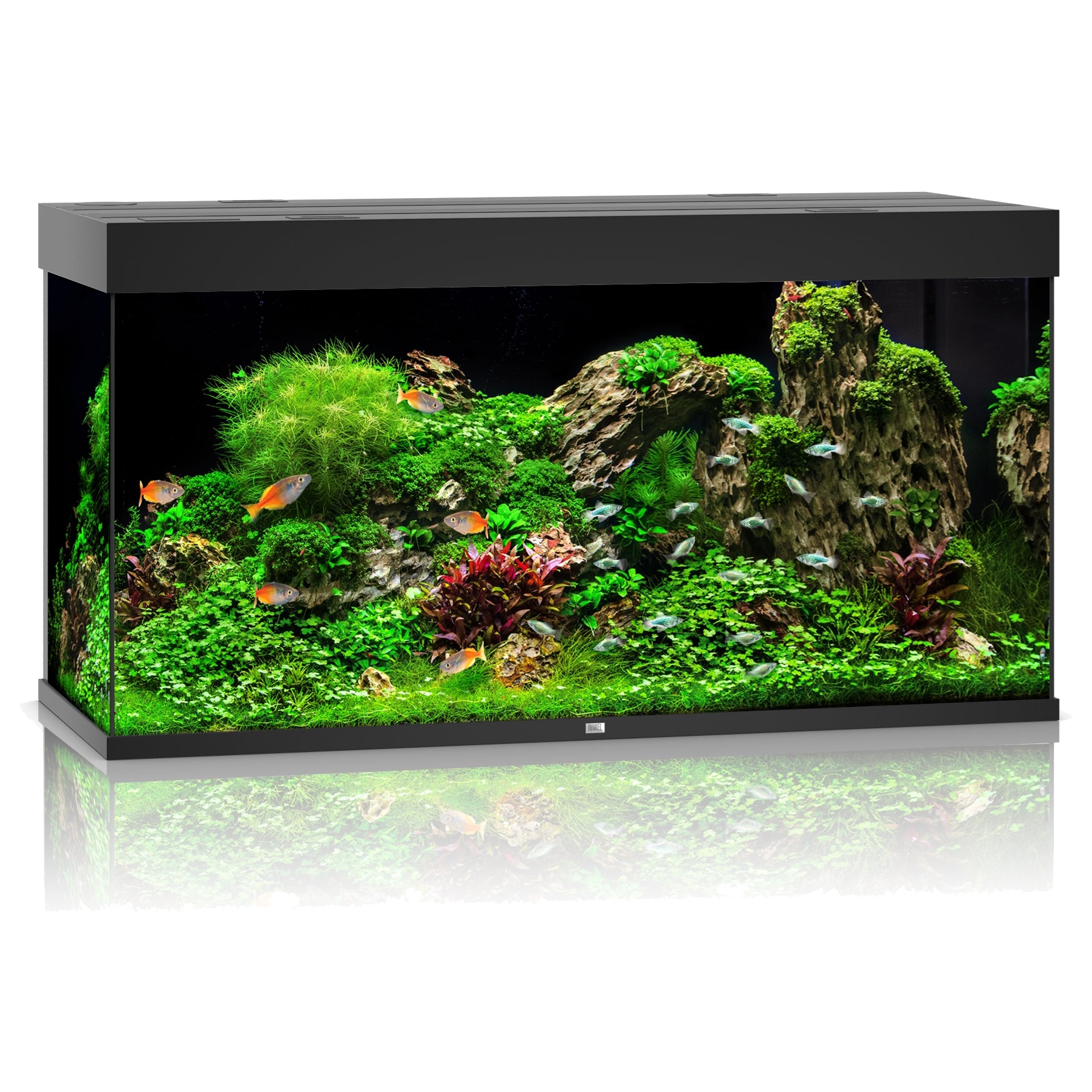 Juwel Rio 350 LED Aquarium Only