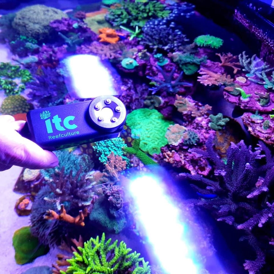 ITC Aquatics PARwise PAR Meter