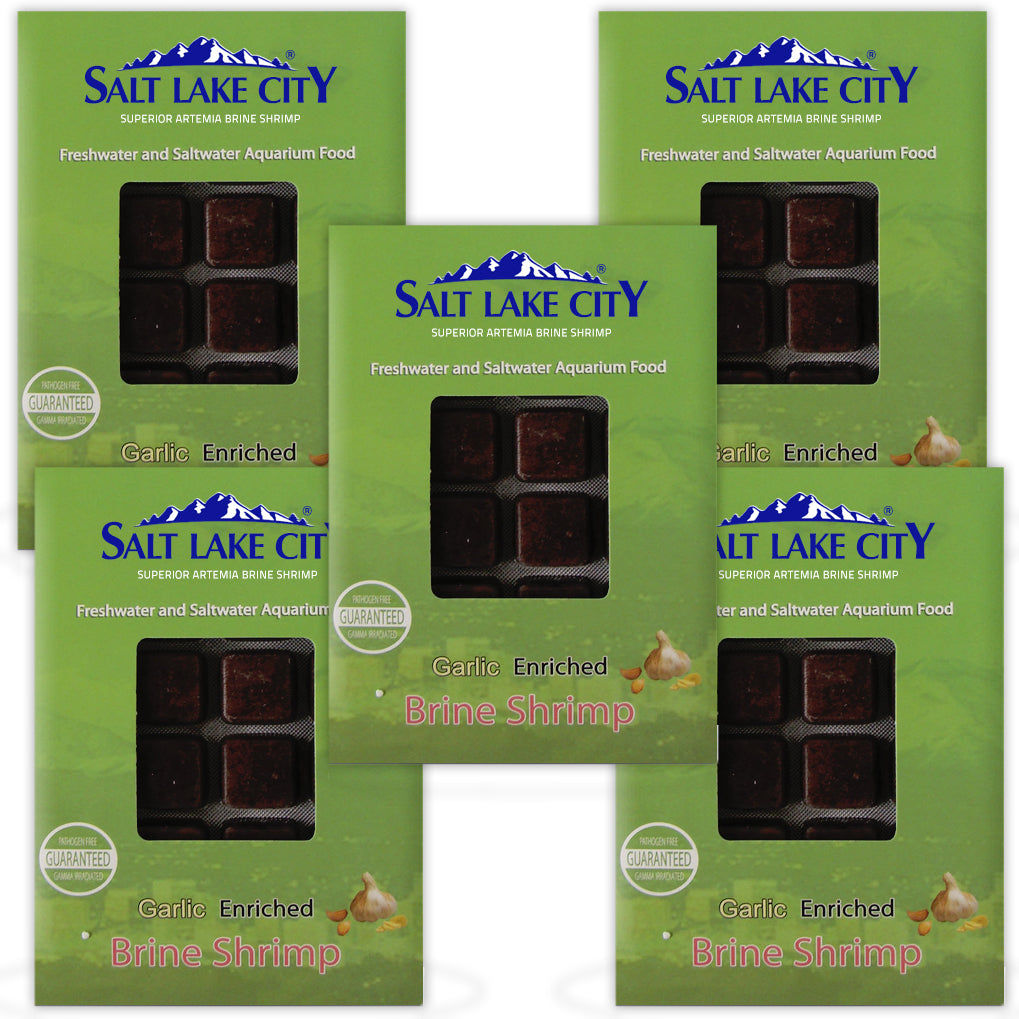 BCUK Frozen Brine Shrimp with Garlic