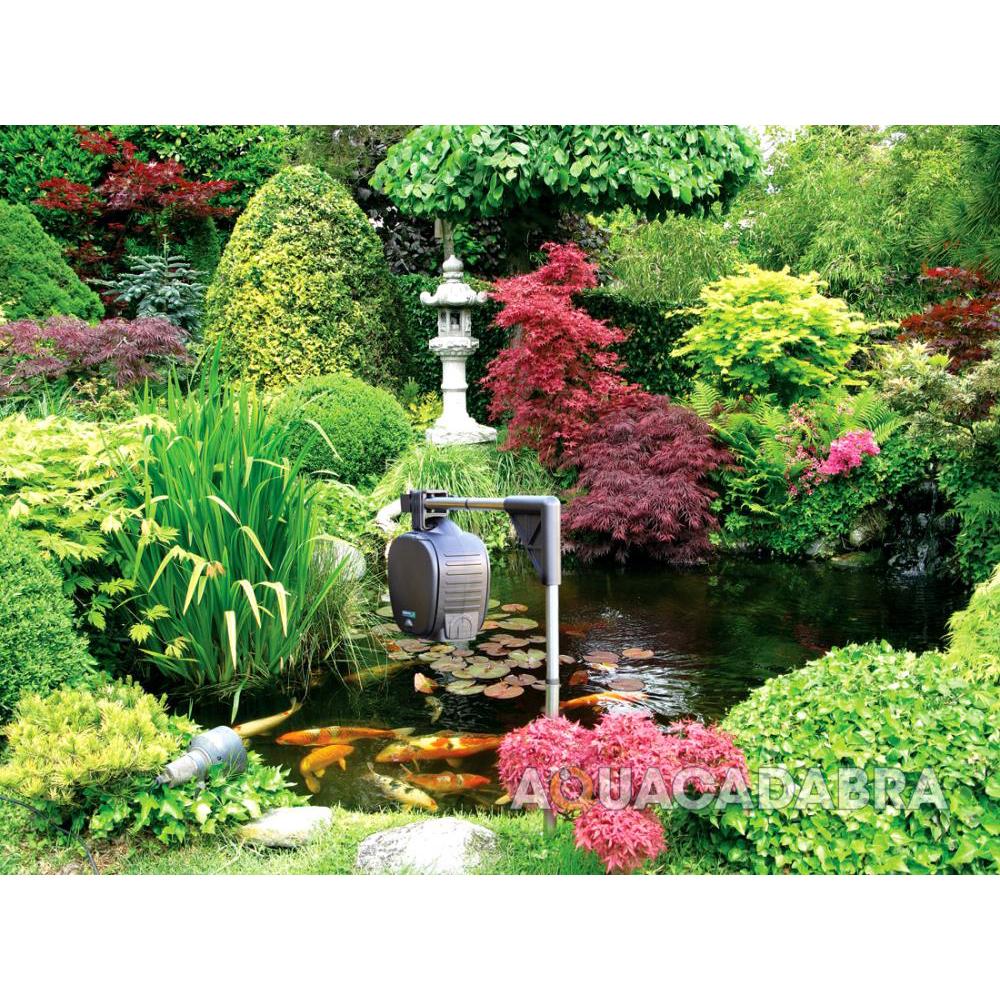 Hozelock Auto Pond Feeder