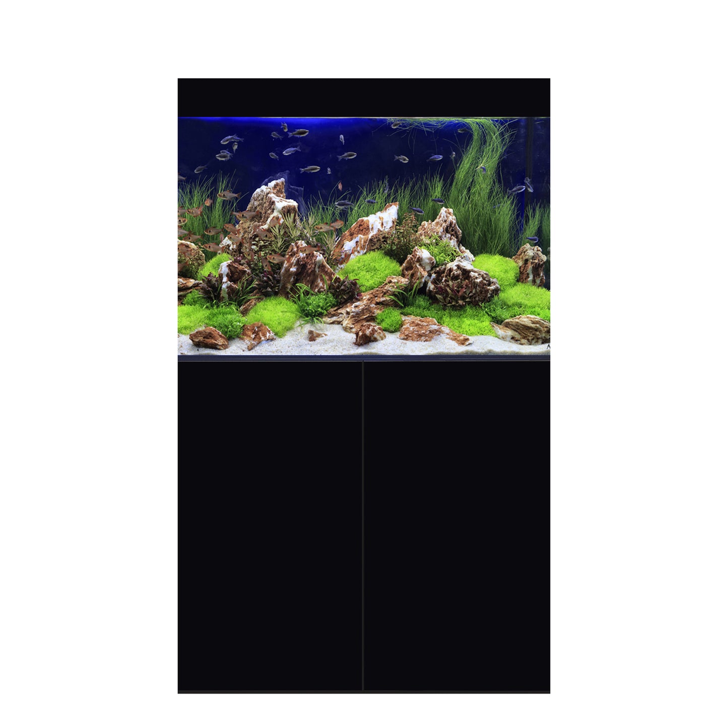 D-D Aqua-Pro Freshwater 900 Tank & Cabinet (Gloss Black)