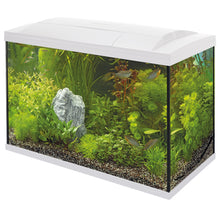 Superfish Start 150 Tropical Aquarium Kits